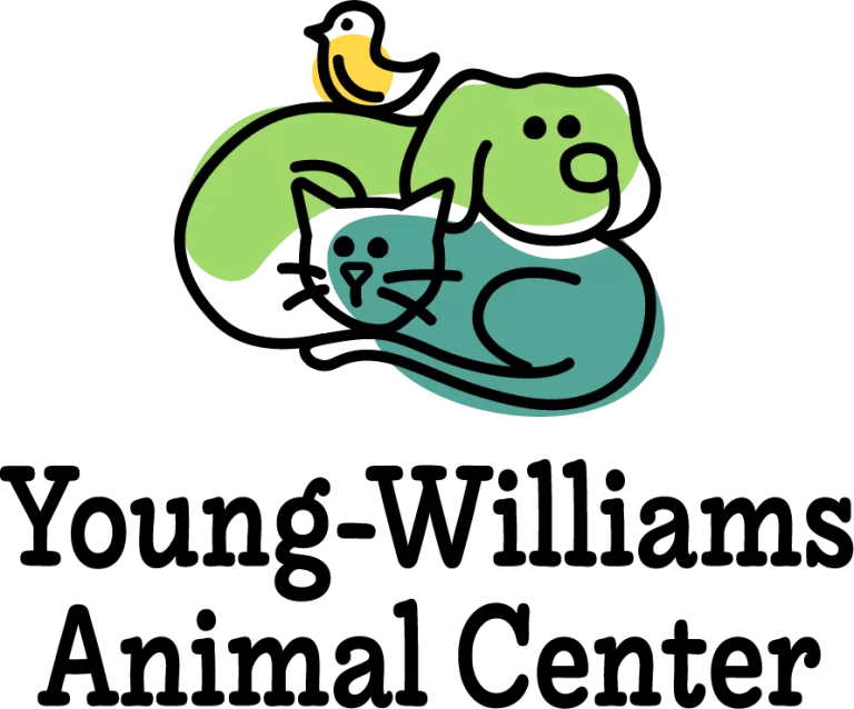 YWAC-Logo-RGB-vertical